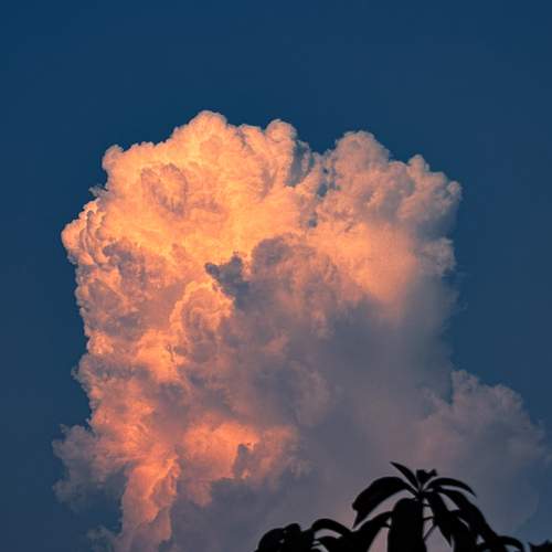 Photo #13740910