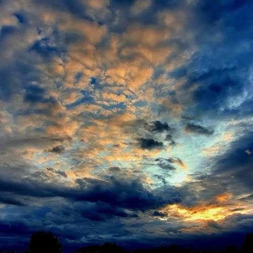 Photo #13740919