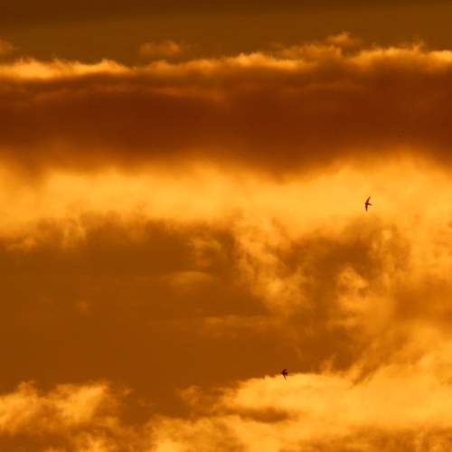 Photo #13740920
