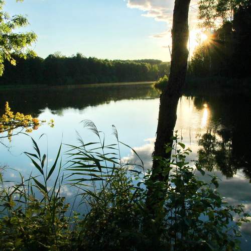 Photo #13740931