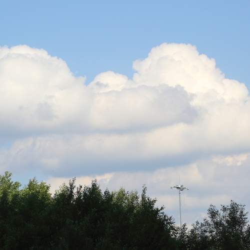Photo #13740947