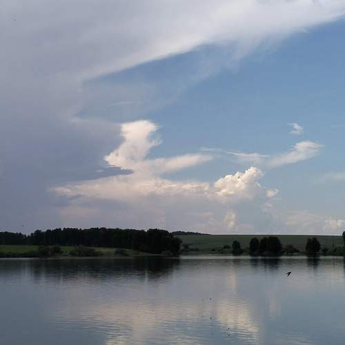 Photo #13740955