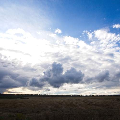 Photo #13741039