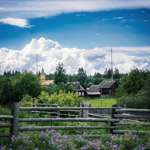 Photo #13741041