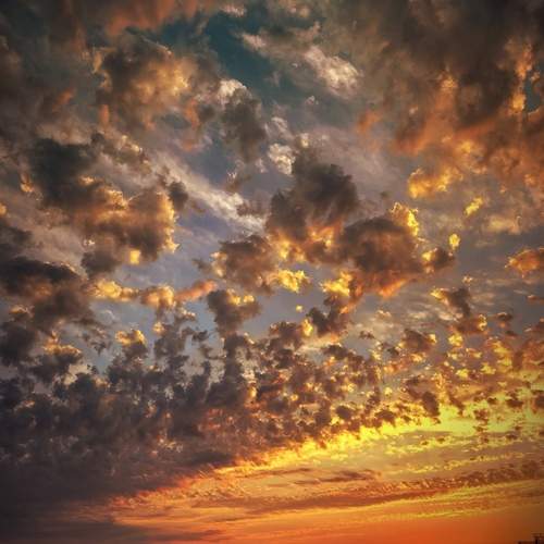 Photo #13741150
