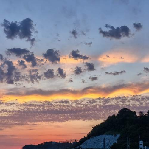 Photo #13741154