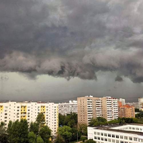 Photo #13741162