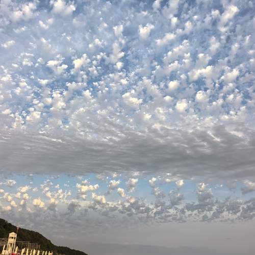 Photo #13741163