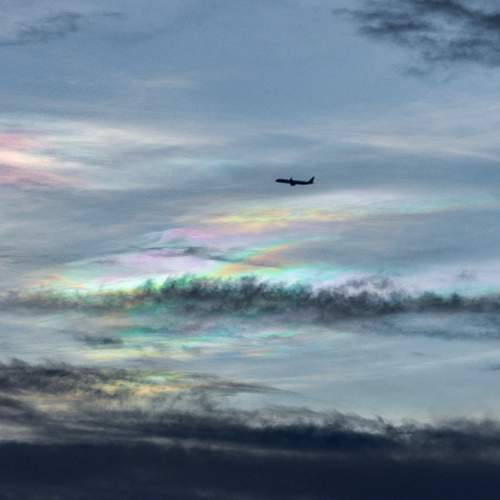 Photo #13741170