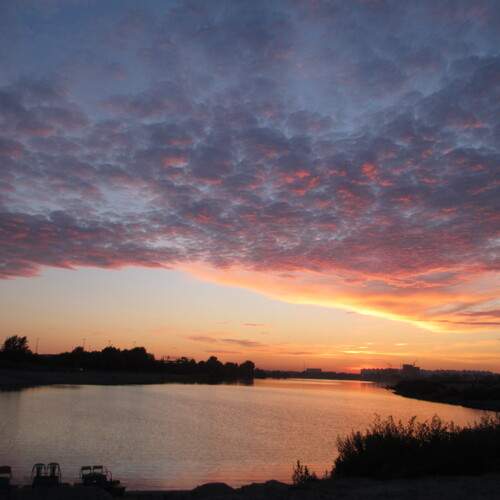 Photo #13741180