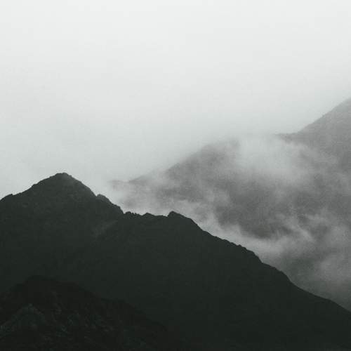 Photo #13741206