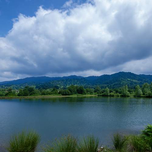 Photo #13741226