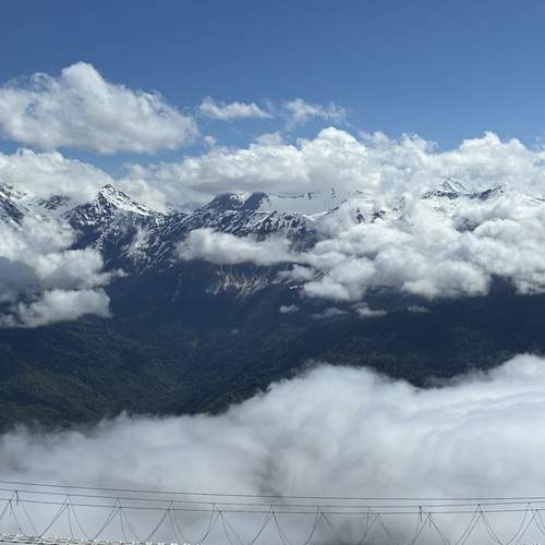 Photo #13741268