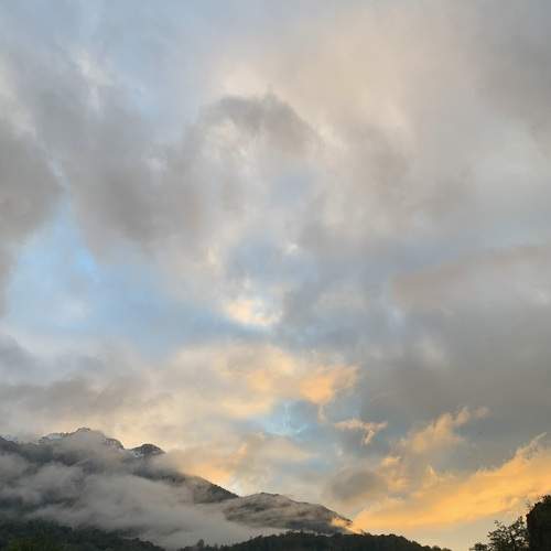 Photo #13741272