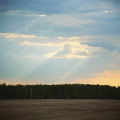 Photo #13741283
