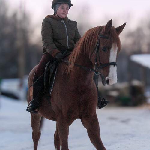 Photo #13741284