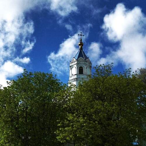 Photo #13741325