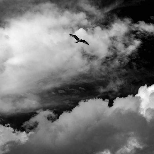 Photo #13741329