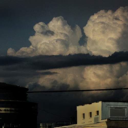 Photo #13741345