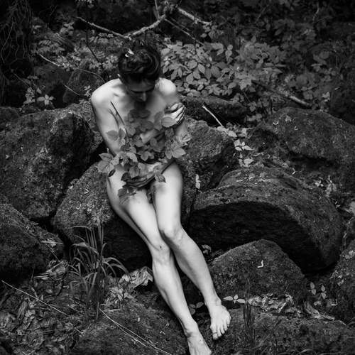 Photo #13741351