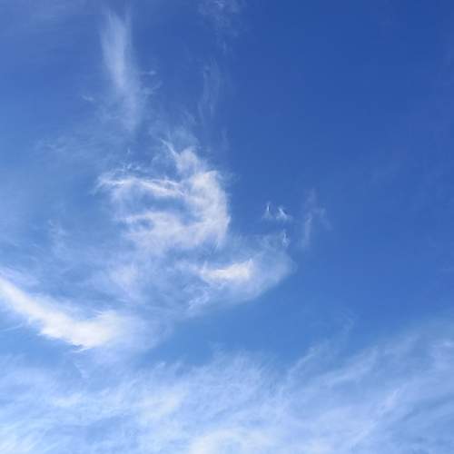 Photo #13741361