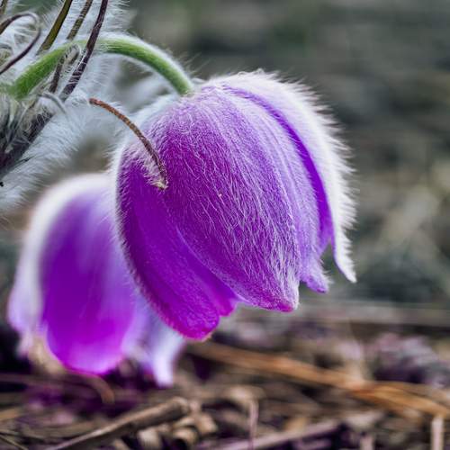 Photo #13741367