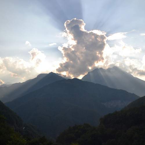 Photo #13741374
