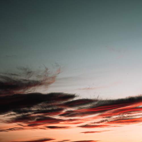 Photo #13741383