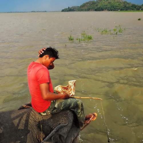 Photo #13741392