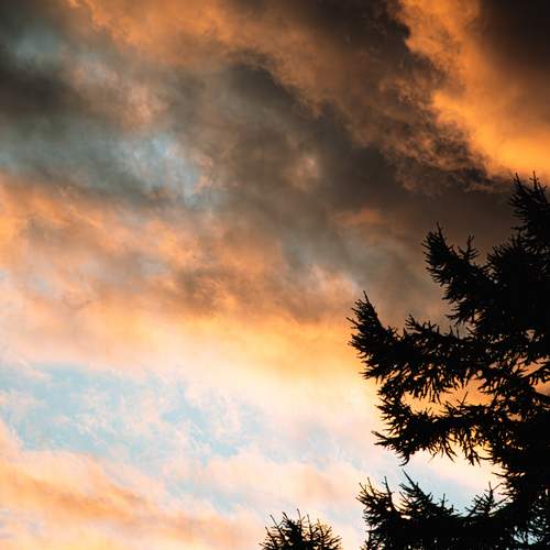 Photo #13741404