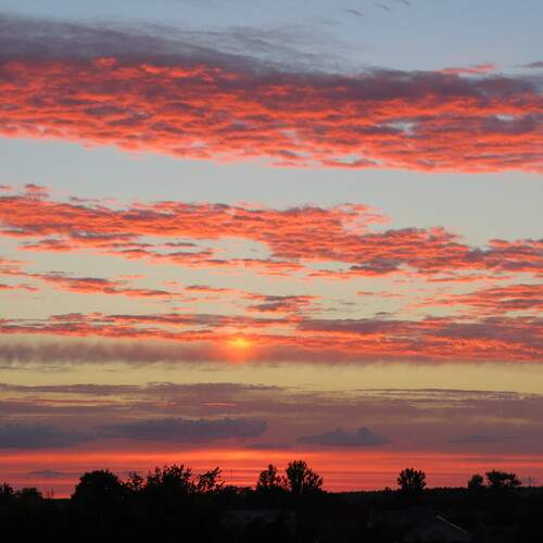 Photo #13741406