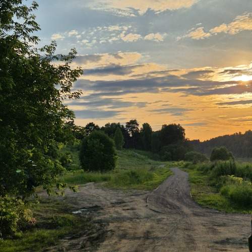Photo #13741410