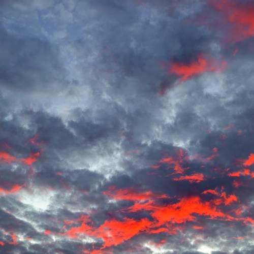 Photo #13741417