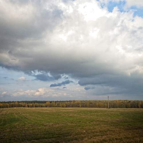 Photo #13741418