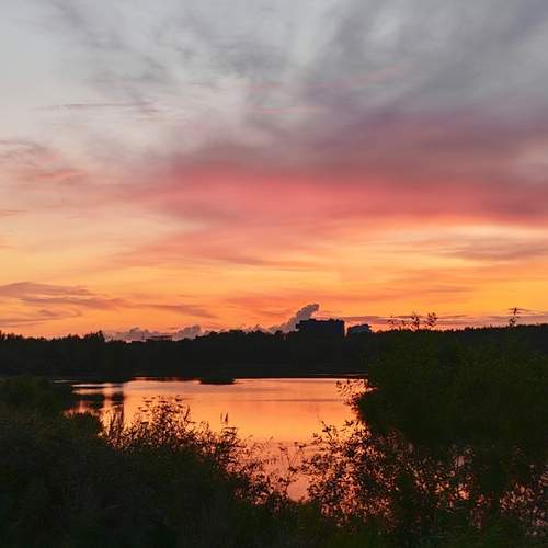 Photo #13741478
