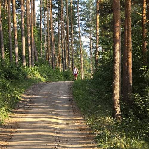 Photo #13741497