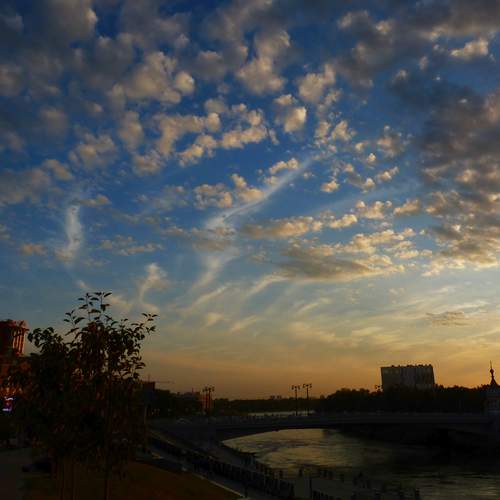 Photo #13741568