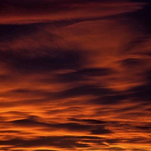 Photo #13741604