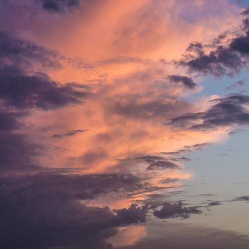 Photo #13741615