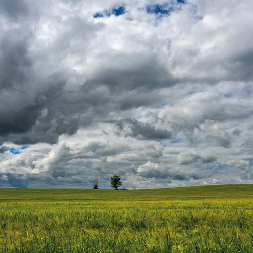 Photo #13741631