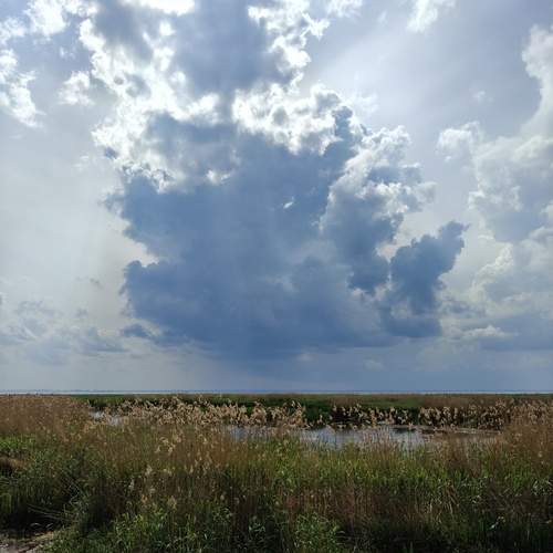Photo #13741653