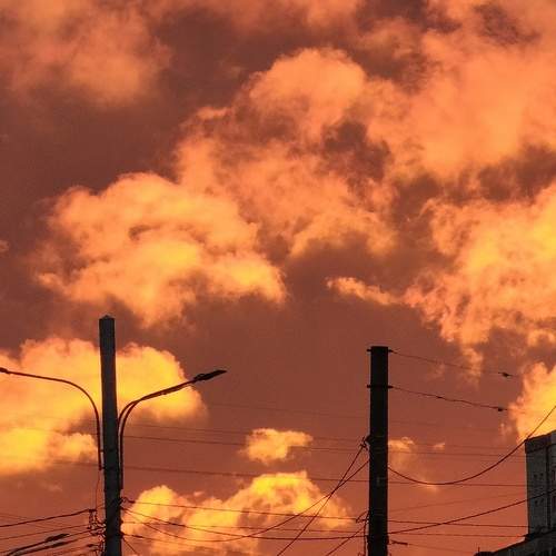 Photo #13741654