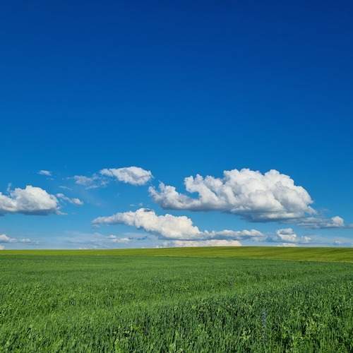 Photo #13741660