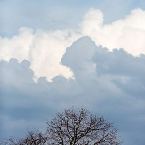 Photo #13741694