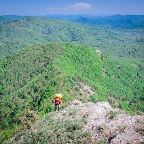Photo #13741695