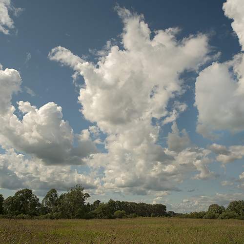 Photo #13741705