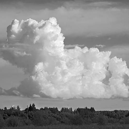 Photo #13741738