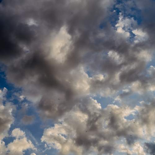 Photo #13741755