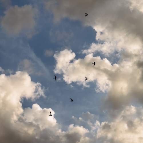 Photo #13741757