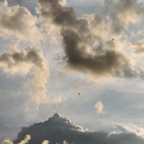 Photo #13741760